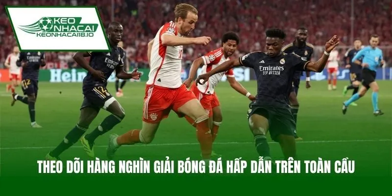 Theo dõi hàng nghìn giải bóng đá hấp dẫn trên toàn cầu